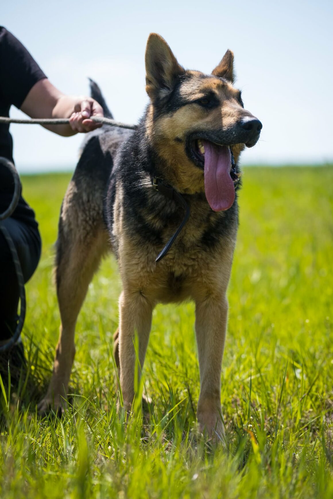Oskar