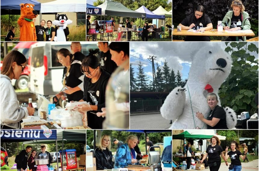 Psiestyn 2025 – podsumowanie