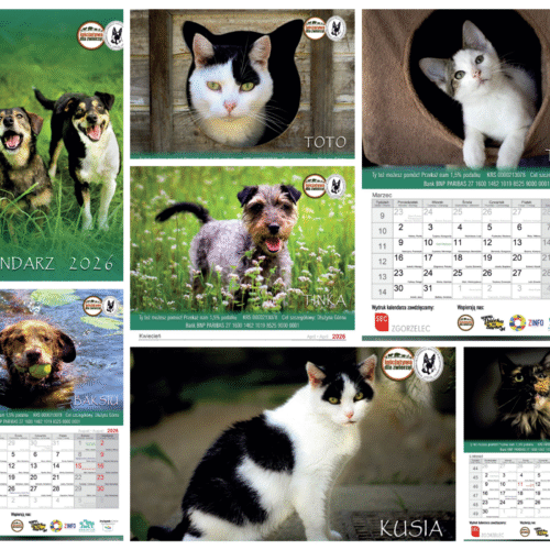 Kalendarz 2026