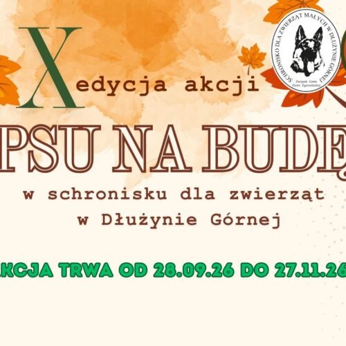 „PSU NA BUDĘ” 2026 – ZACZYNAMY!