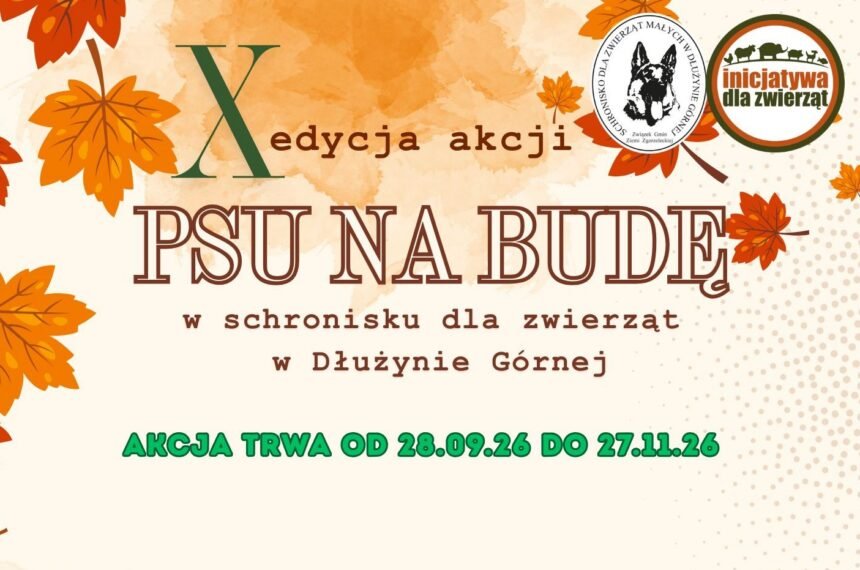 „PSU NA BUDĘ” 2026 – ZACZYNAMY!