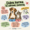 Karma dla zwierząt – dlaczego jakość ma znaczenie?